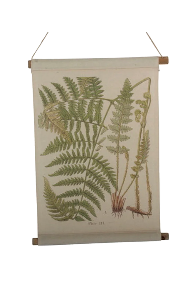 Vegghengende Ormbunke – Natur – Dekor | m v:3032590 Vegghengende Ormbunke – Natur – Dekor | m v:3032590