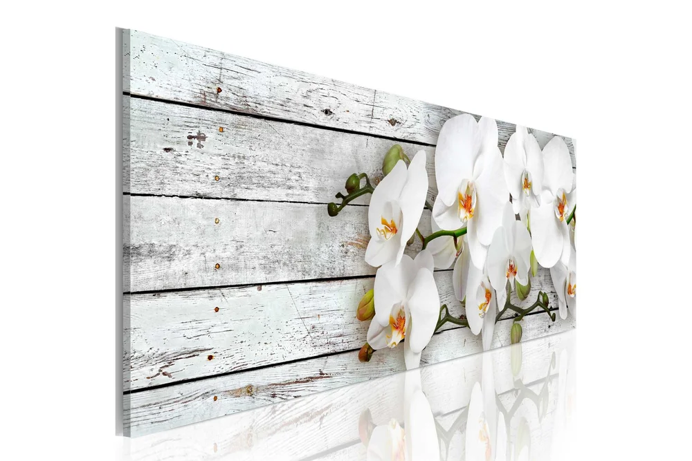 Bilde White Dreams 135x45 v:5681985