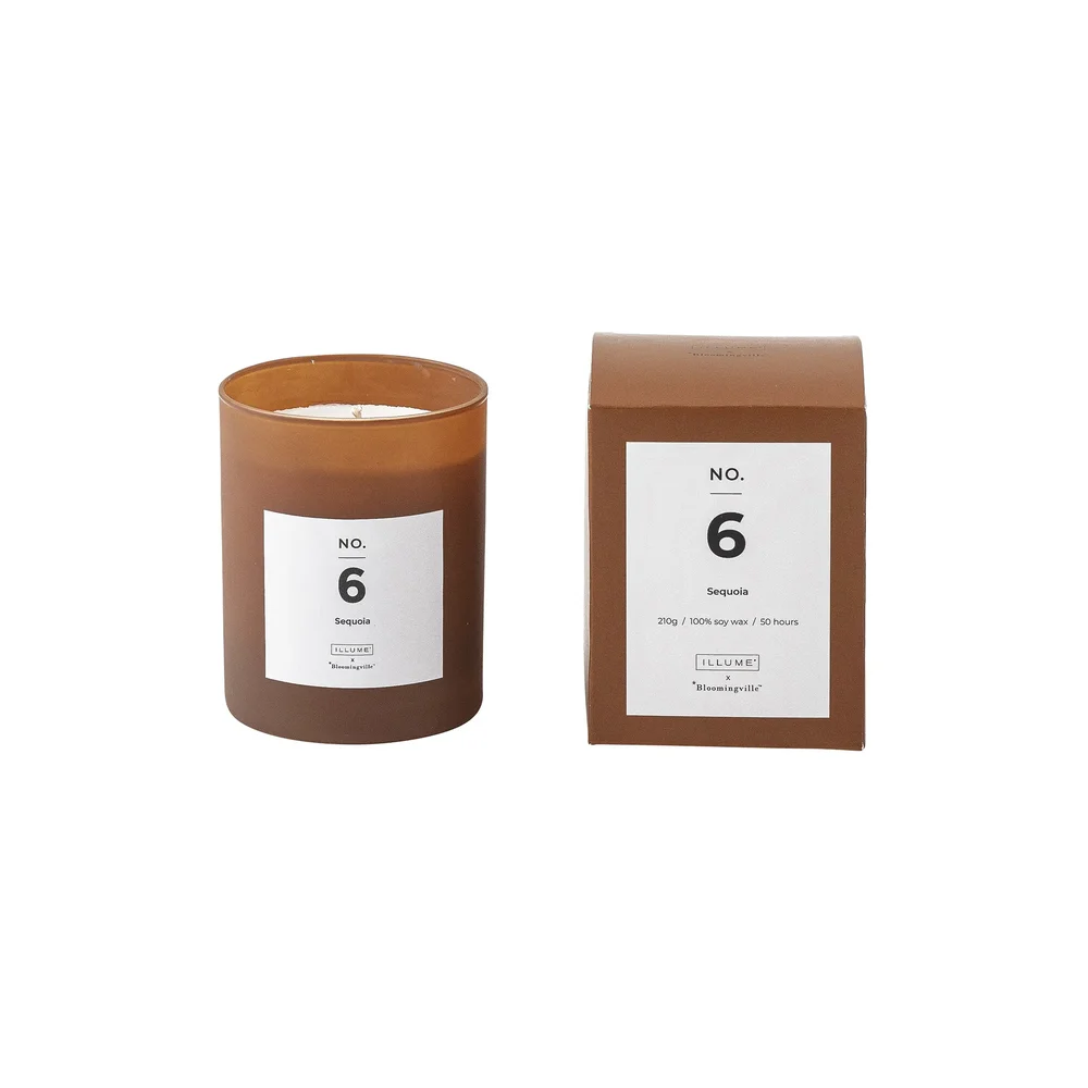 NO. 6 Sequoia duftlys v:3005285