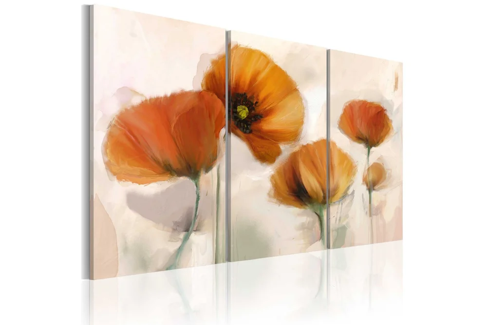 Bilde Artistic Poppies Triptych 120×80 v:2728850 Bilde Artistic Poppies Triptych 120×80 v:2728850