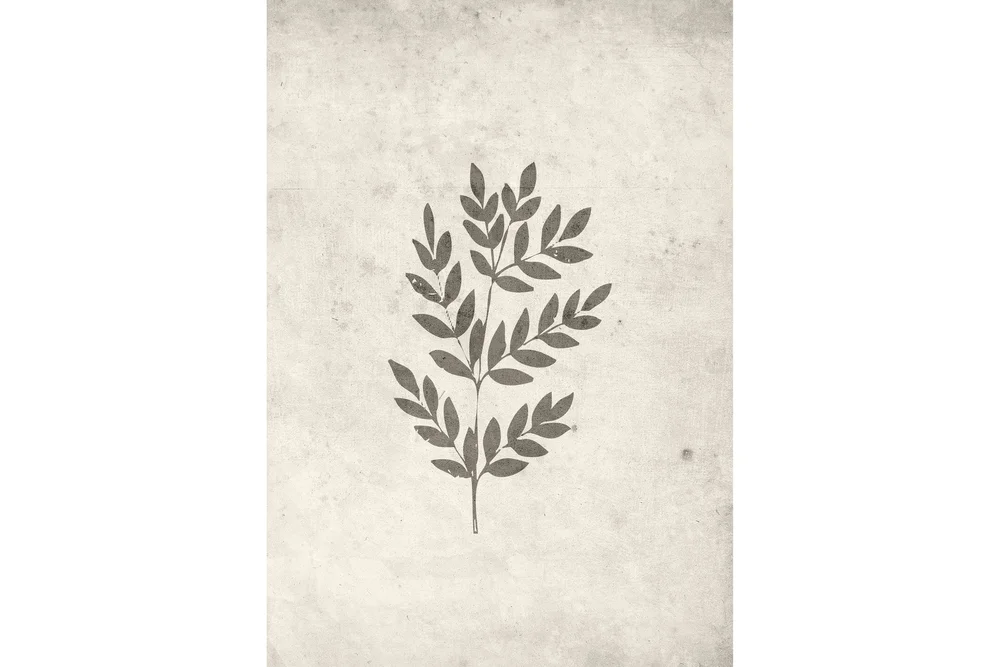 Poster Spring leaf 70x100 cm v:4837581