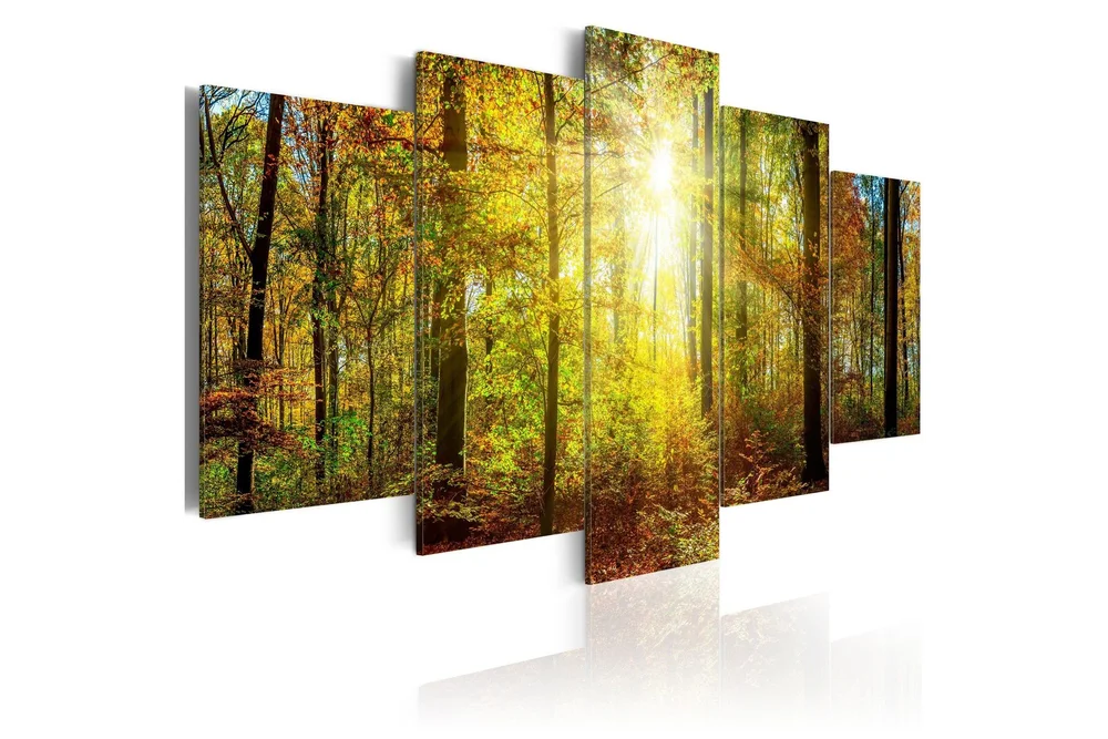 Bilde Mystical Forest 100x50 v:8345984