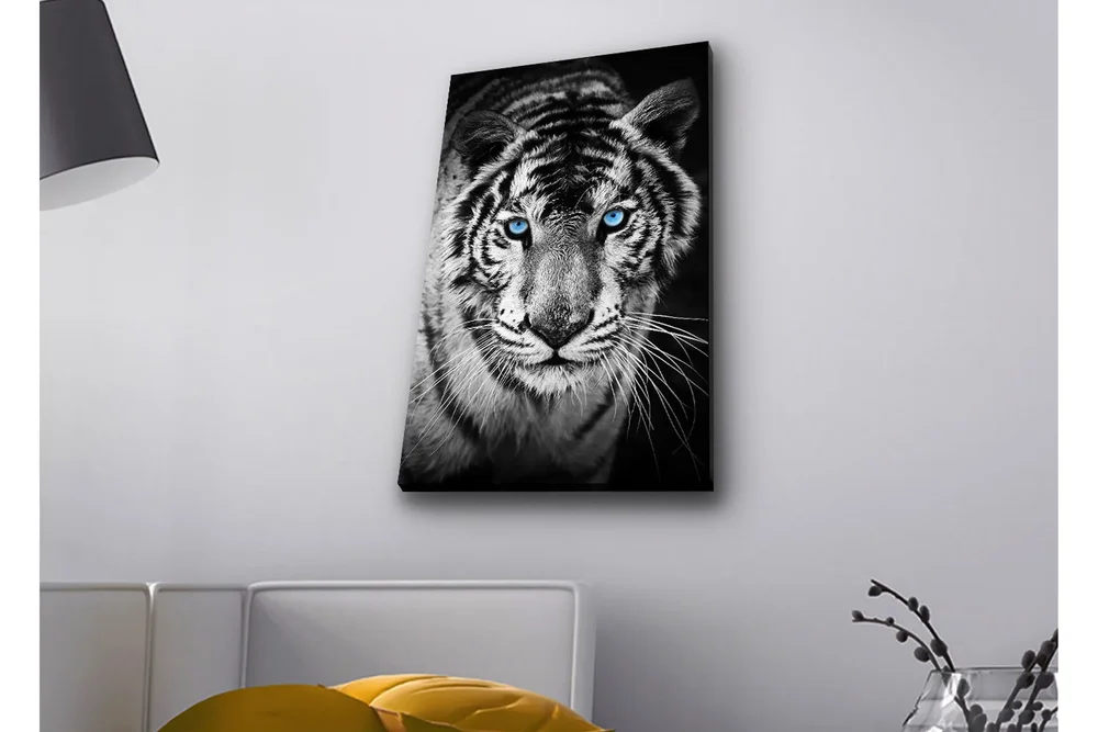 Lerretsbilde med LED-belysning - Portrett av en hvit tiger med blå øyne v:6996663