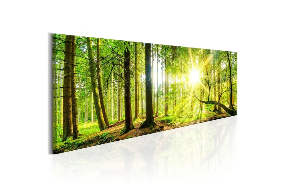 Bilde Majestic Trees 150x50 v:5458225
