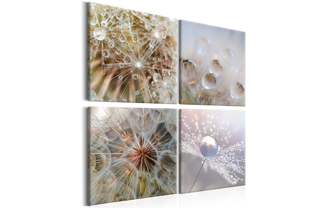 Bilde Morning Glow 40x40 v:8268493