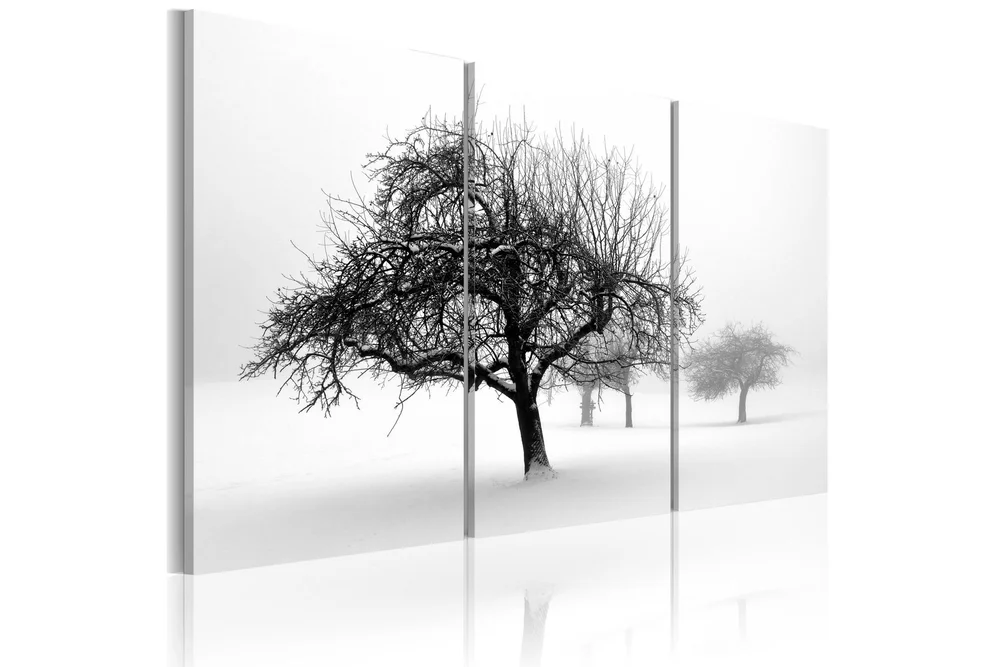 Bilde Trees Submerged In White 60x40 v:4254744