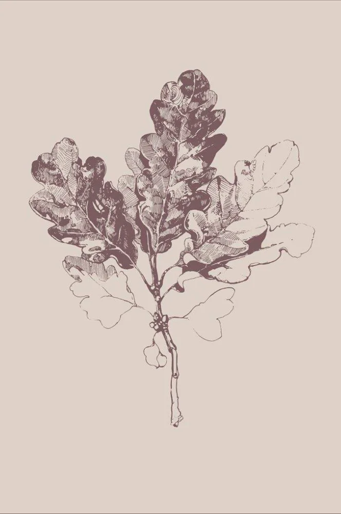 Poster Botanica 3 – Beige – Dekor | m v:2020626