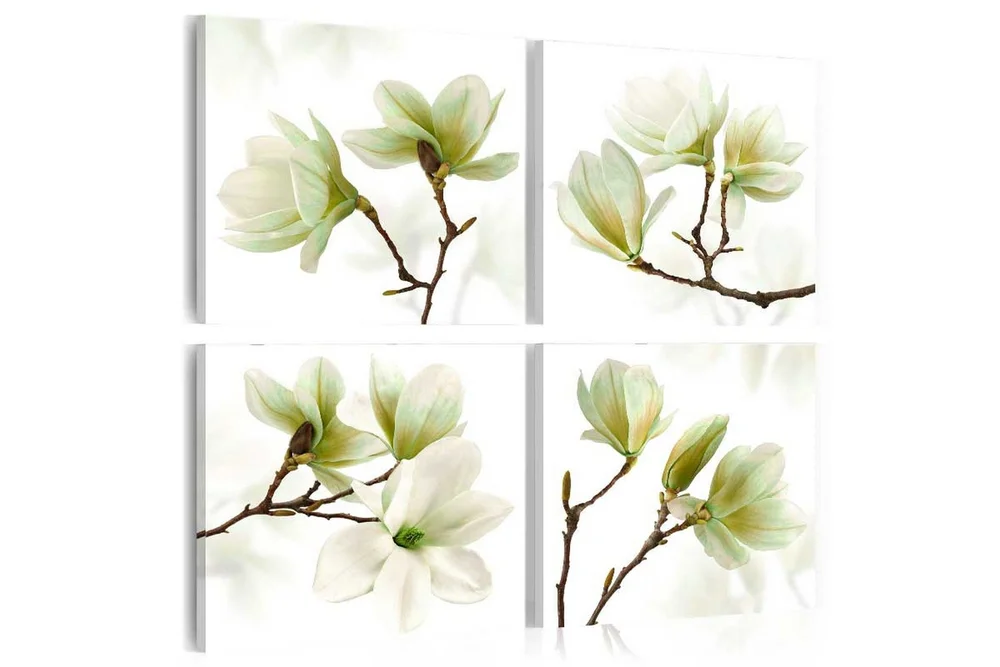 Bilde Admiration Of Magnolia 60x60 v:9016270
