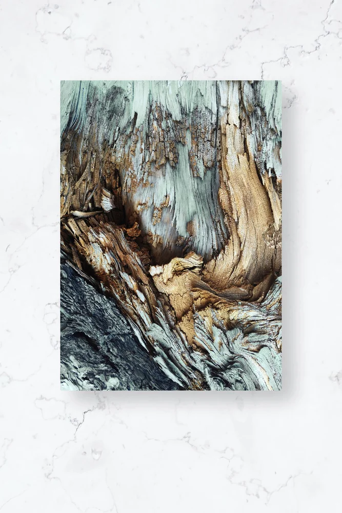 Poster / Wooden / Plano – Flerfarget – Dekor | m v:4974909