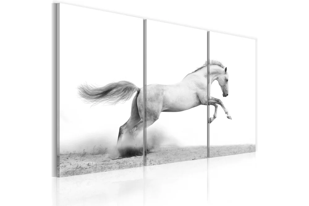 Bilde A Galloping Horse 60×40 v:5892129 Bilde A Galloping Horse 60×40 v:5892129