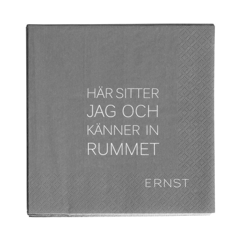 Ernst serviett med sitat Tid-Rum 20-pakning v:9572600