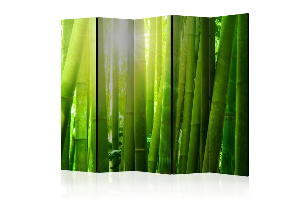 Kadira Romdeler 225×172 v:1526374 Kadira Romdeler 225×172 v:1526374