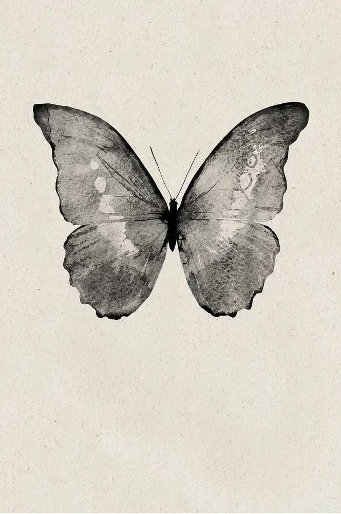 Poster / Black Butterfly – Beige – Dekor | m v:5346067