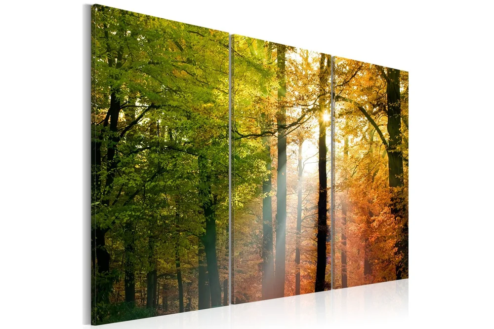 Bilde A Calm Autumn Forest 120×80 v:8389332 Bilde A Calm Autumn Forest 120×80 v:8389332