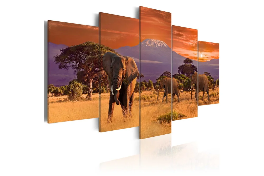 Bilde Africa Elephants 200×100 v:4022364 Bilde Africa Elephants 200×100 v:4022364