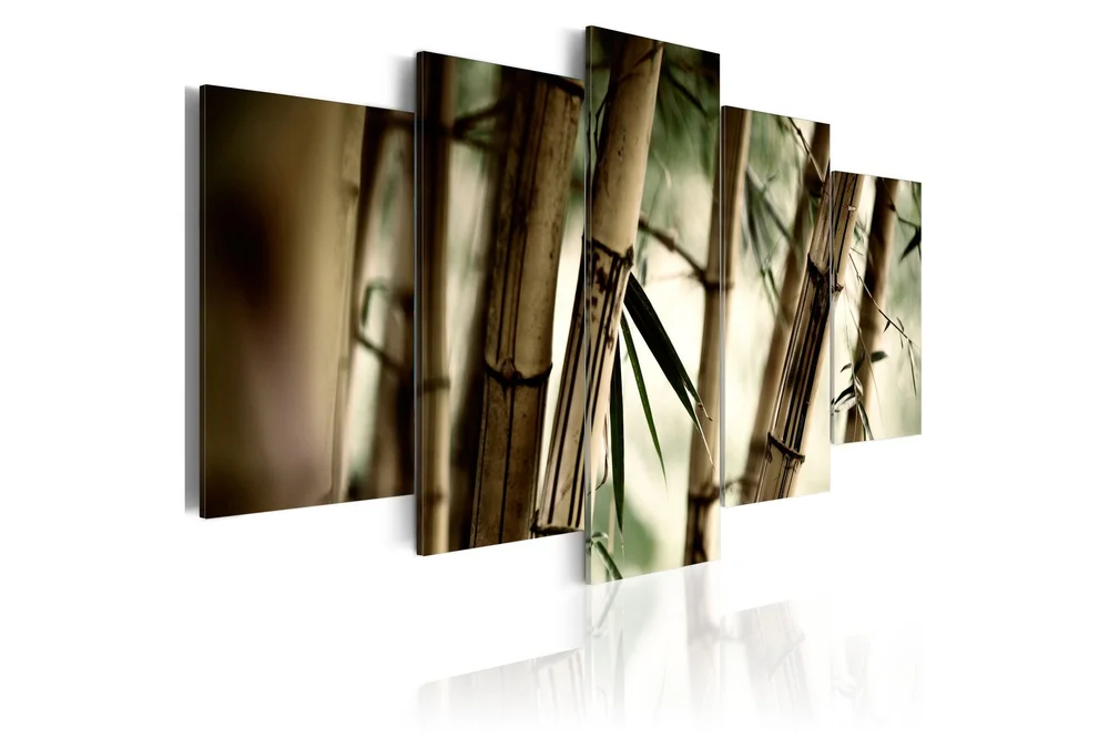 Bilde Asian Bamboo Forest 100×50 v:5904854 Bilde Asian Bamboo Forest 100×50 v:5904854